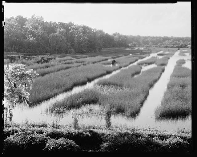 Photo:Mulberry Moncks Corner SC 1938 Marsh Wetlands Tidal Creek