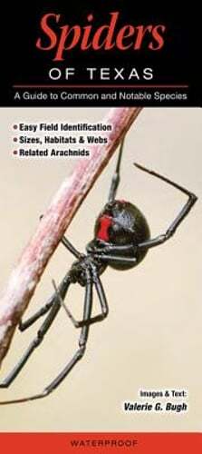 Spiders of Texas: A Guide to Common and Notable Species by Valerie G Bugh: Used
