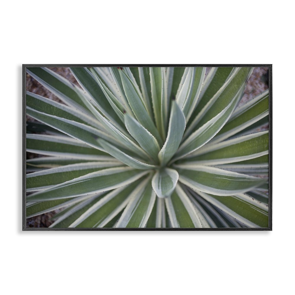 Centric Succulent Leaves Framed Giclee Art Design by Susan Bryant