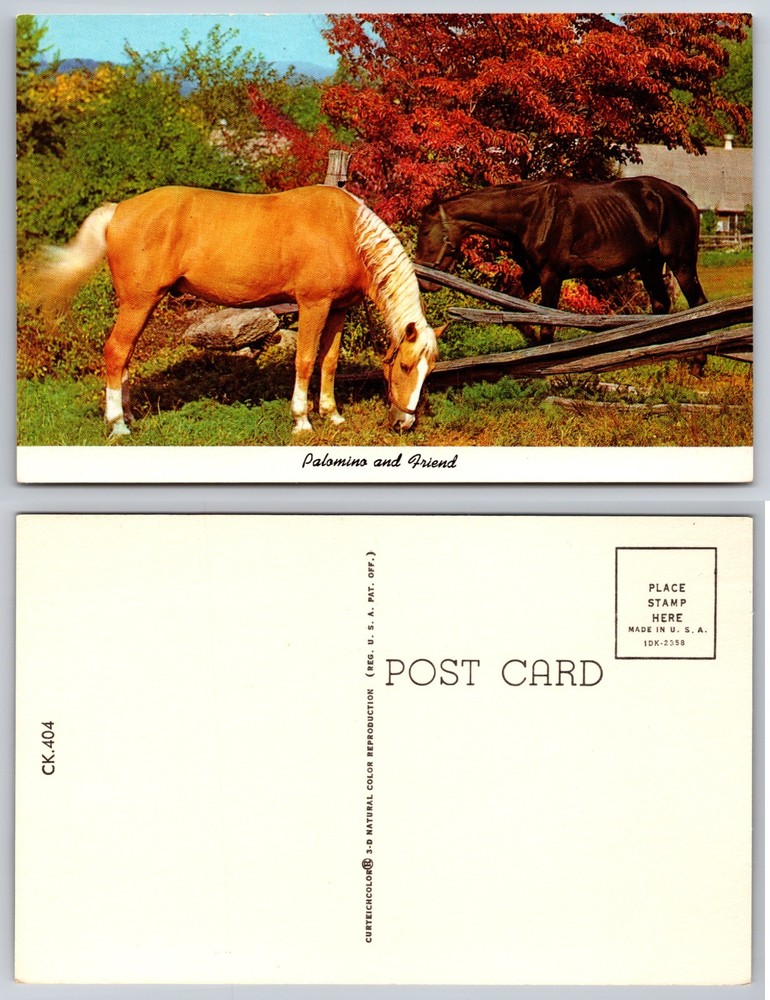 Palomino Pasture Horses Autumn Farm Postcard