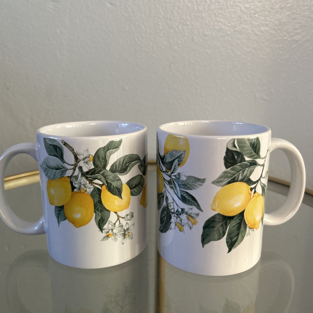 Lemon Blossoms Coffee Mugs Tea Cups Ceramic 12oz Royal Norfolk Set of 2