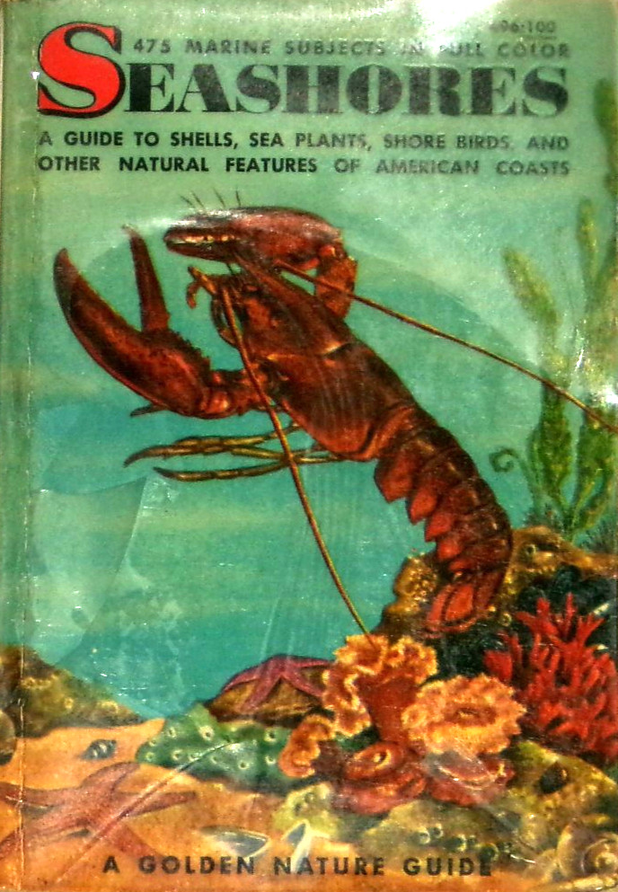 Seashores by Herbert S. Zim & Lester Ingle 1955 Golden 496:100 VG