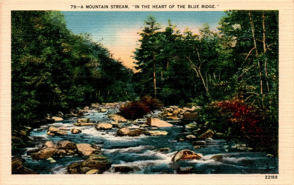 MOUNTAIN STREAM, BLUE RIDGE, Asheville, N. C. Postcard