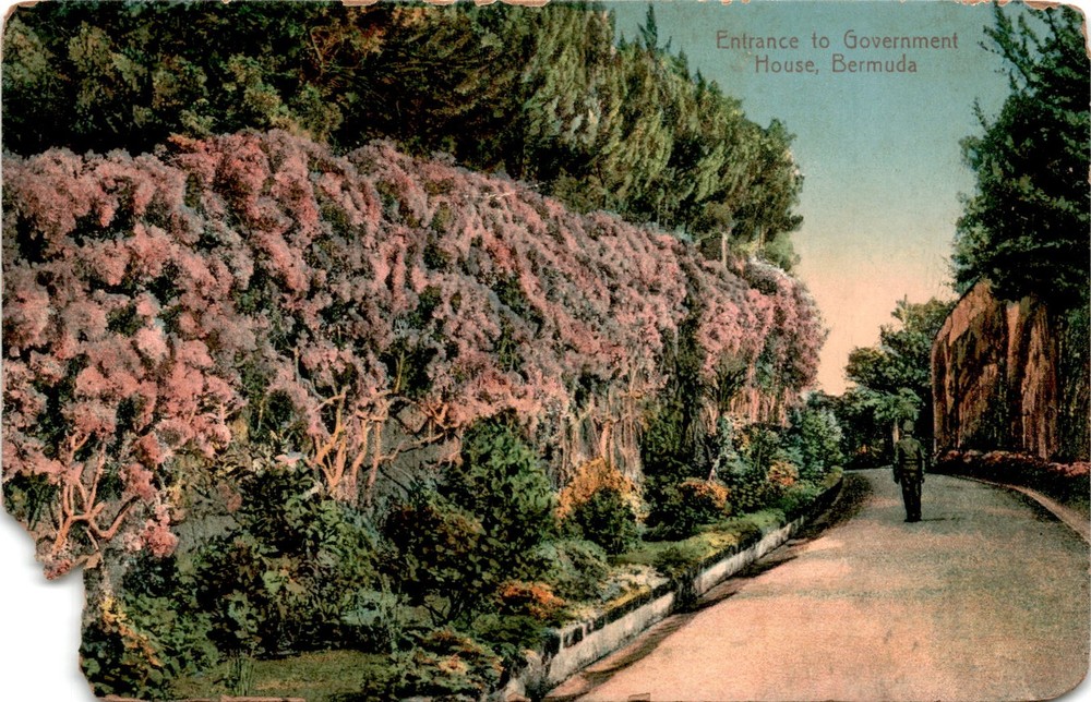 Government House, Bermuda, Wm. Weiss & Co., Hamilton, Germany Postcard