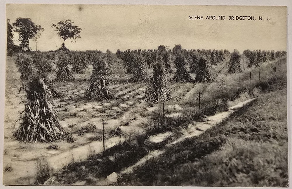 1947 Bridgeton NJ Vintage Photo Posted Postcard The Mayrose Co