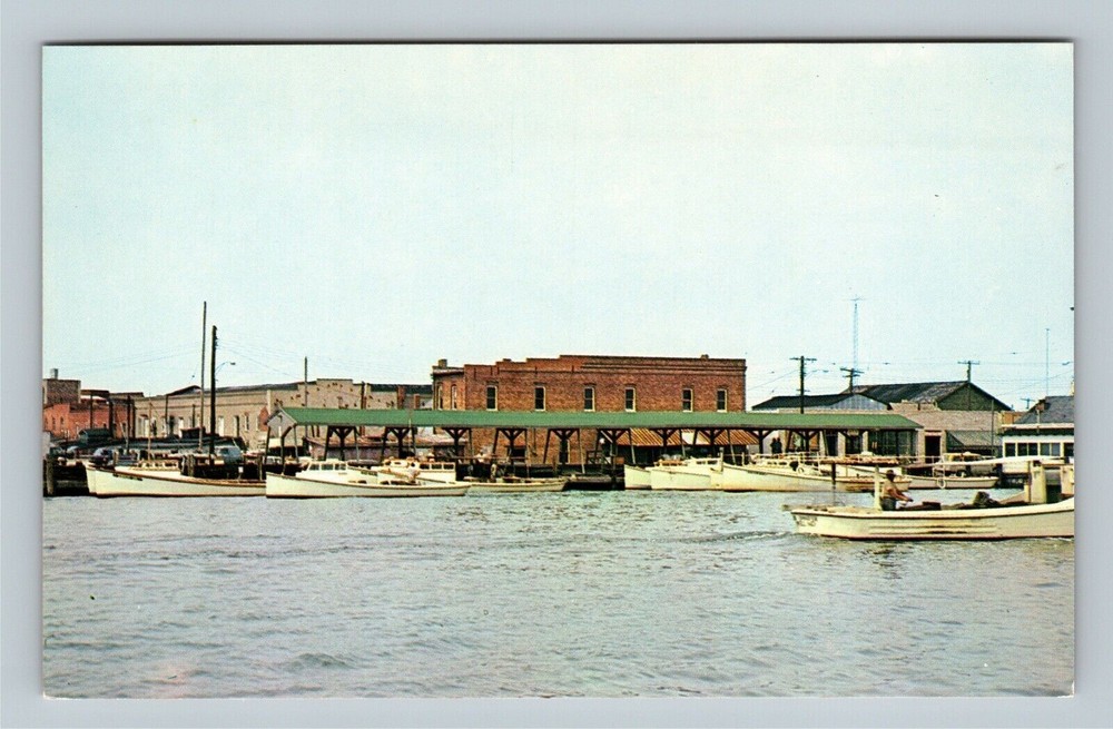 Crisfield MD, The Marina, Maryland Vintage Postcard