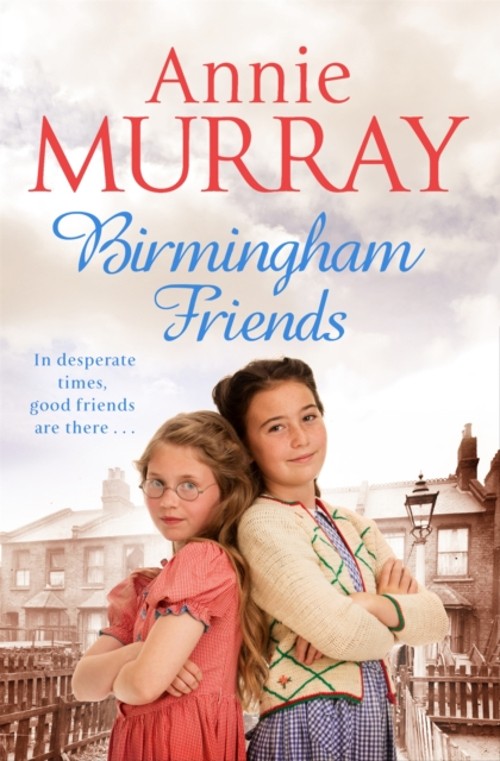 Birmingham Friends Paperback Annie Murray