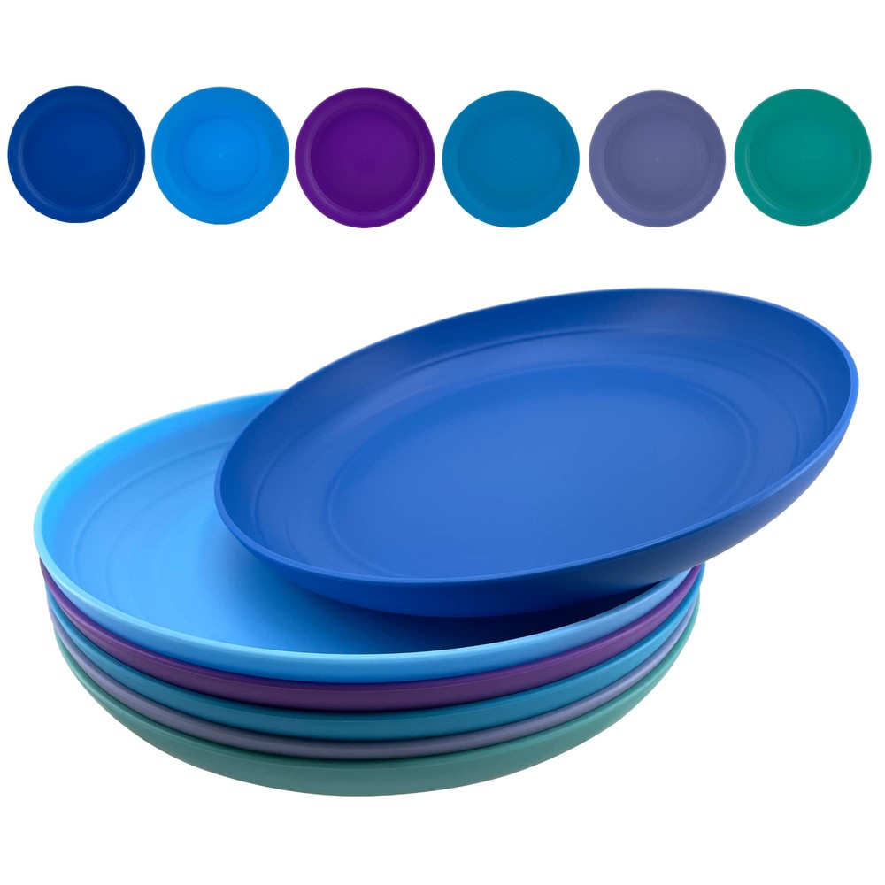 8 inch Plastic Plates Reusable, Unbreakable Plastic Dinner Plates set of 6, B...