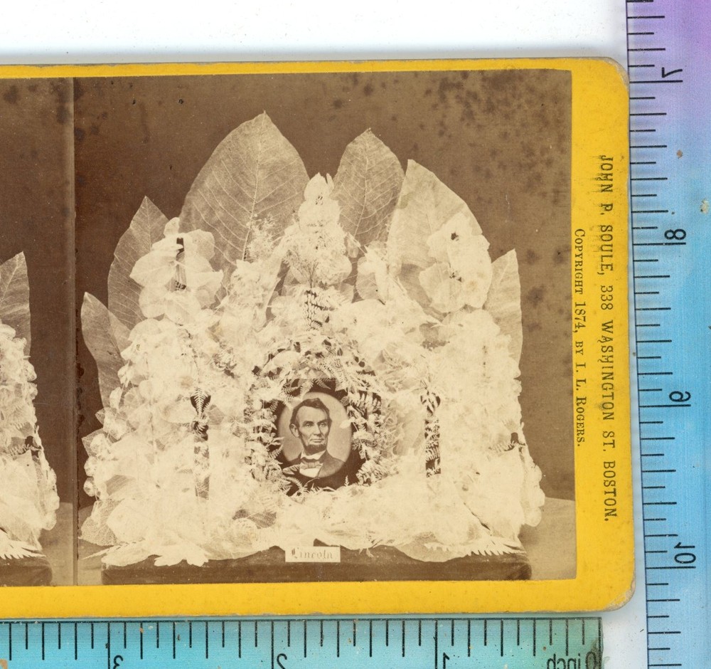 Abe Lincoln Skeleton Leaves Phantom Bouquet John Soule Stereoview
