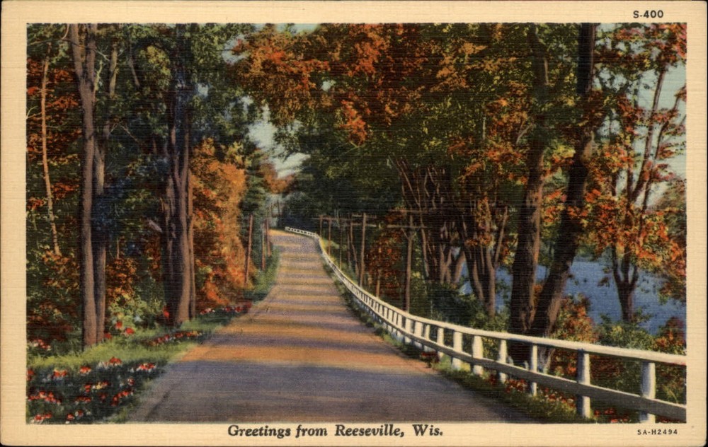 Reeseville Wisconsin fall foliage white fence road unused vintage linen postcard