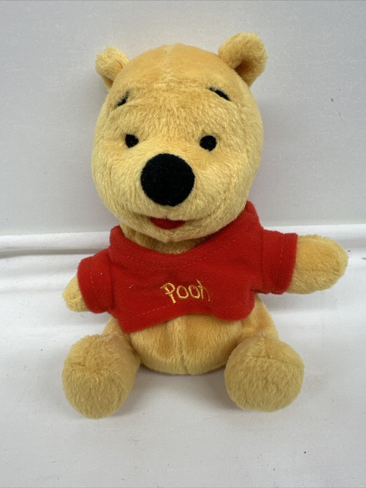 Winnie the Pooh Bear 5