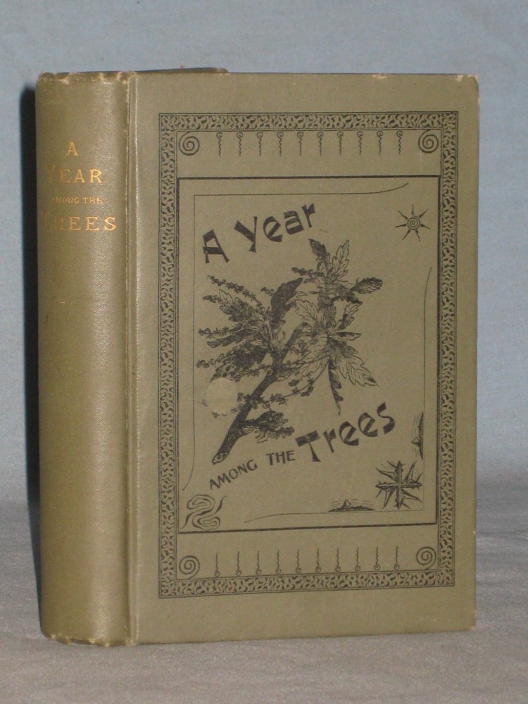 1890 Book A Year Among The Trees Or Woods & By-Ways Of New England By W. Flagg