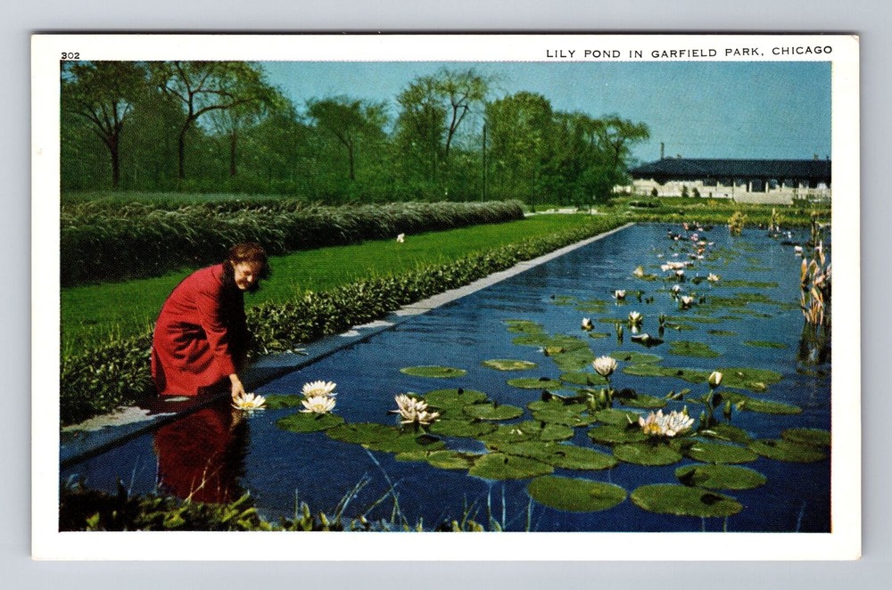 Chicago IL-Illinois, Lily Pond In Garfield Park, Antique, Vintage Postcard