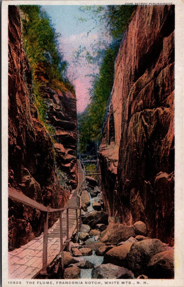 The Flume Franconia Notch White Mountains NH Phostint Postcard Detroit PC