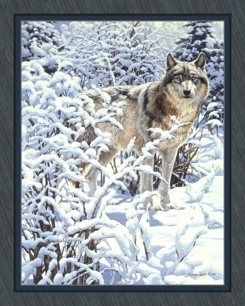 WINTER SPIRT 
