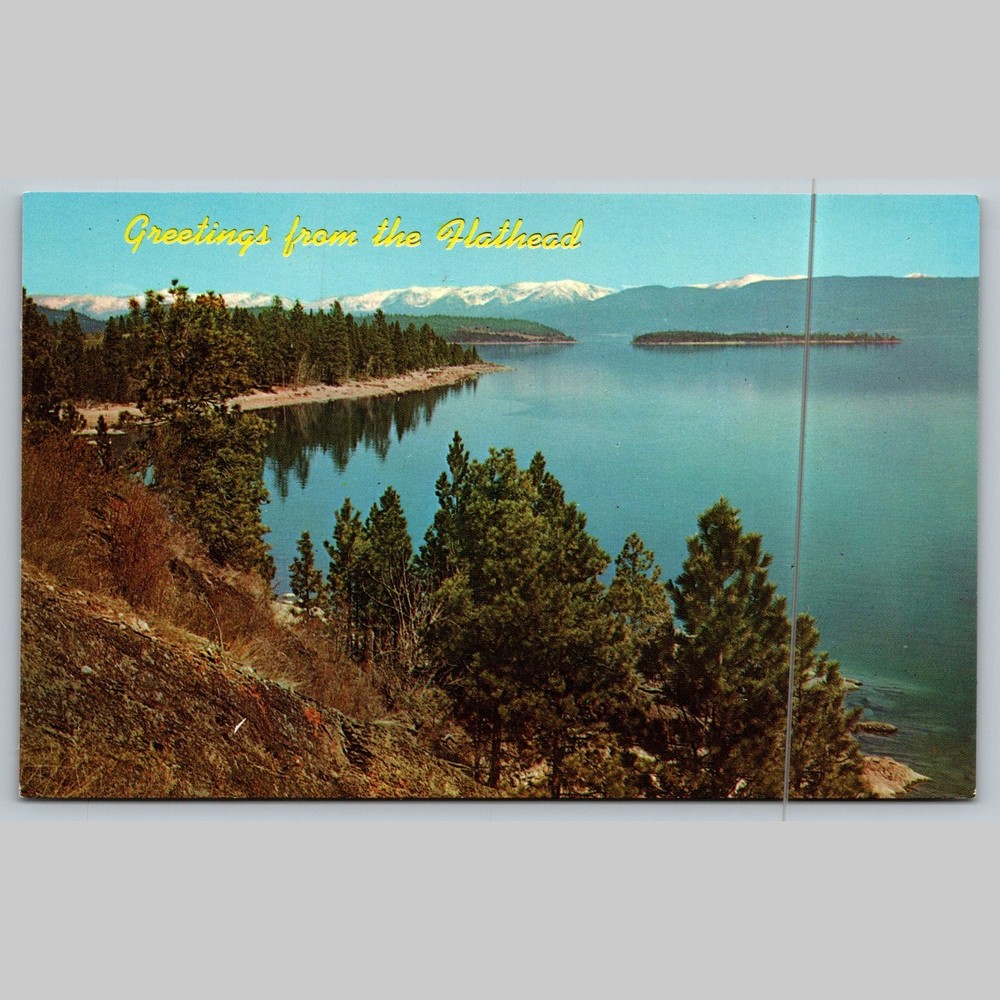 Postcard Greetings from Flathead Lake Kalispell Montana Scenic View