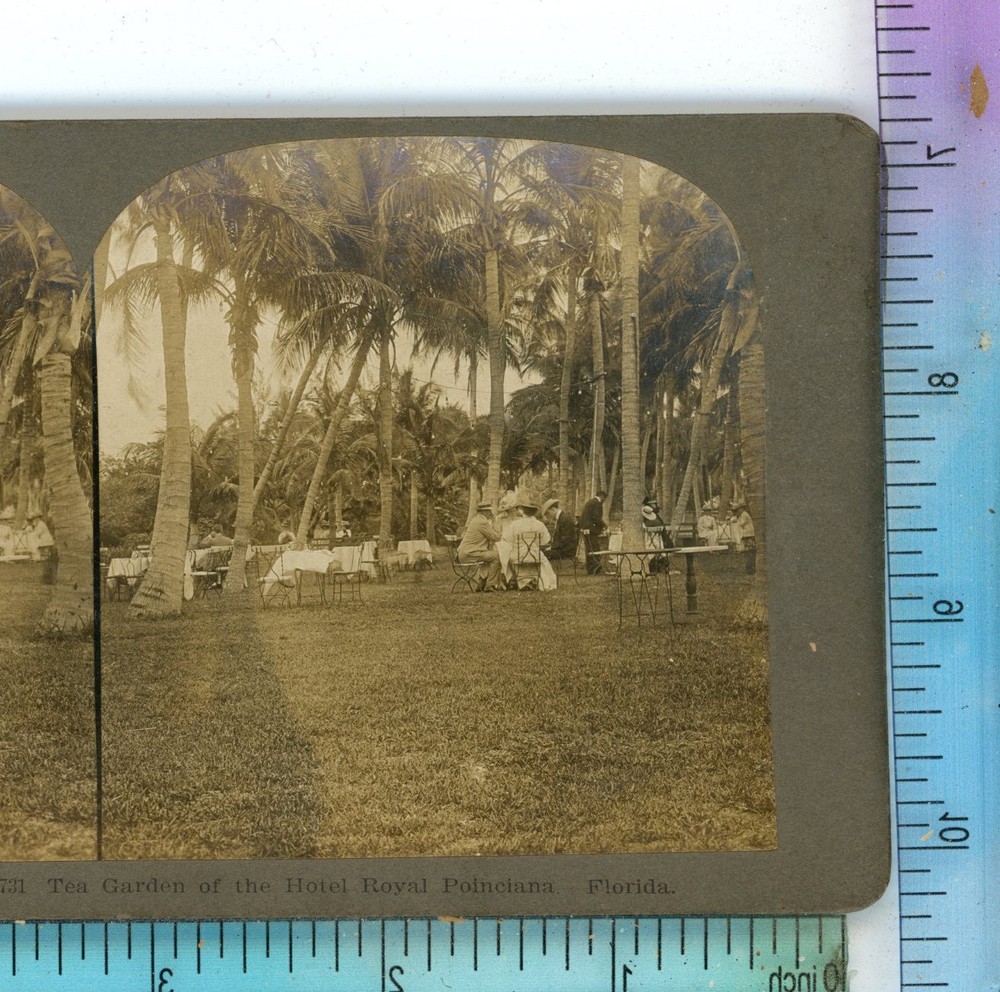 Garden of Hotel Royal Poinciana FL Florida Stereoview