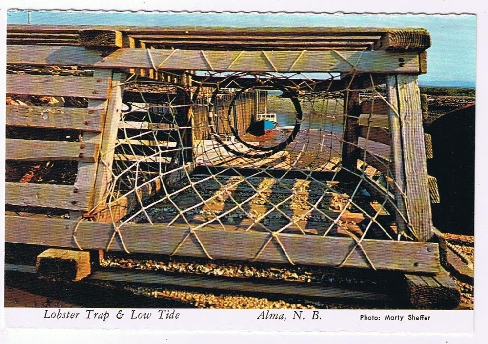 New Brunswick Postcard Alma Lobster Trap & Low Tide