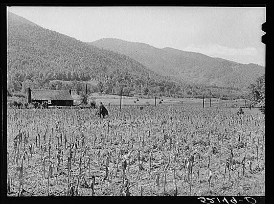 Photo:Asheville North Carolina 1939 Mountain Farm Landscape FSA