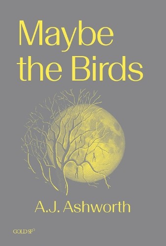 A. J. Ashworth Maybe the Birds (Paperback)Another great item from Rarewaves USA | Free delivery!