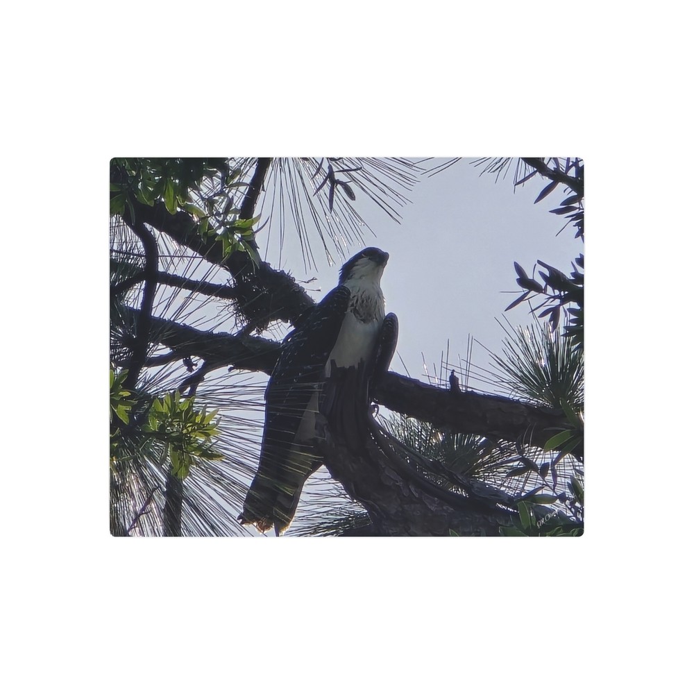 Nature Inspired Metal Art Sign, Rustic Wall Decor, Bird Lover Gift, Outdoor