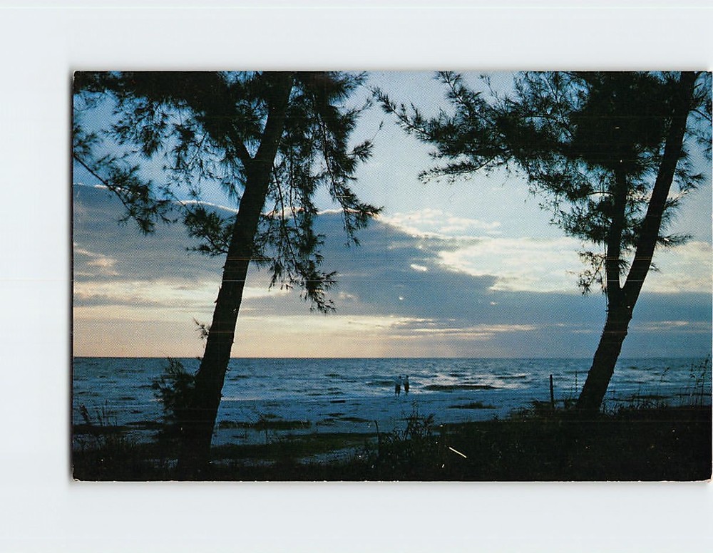 Postcard Sunset Florida Beautiful Coast USA North America