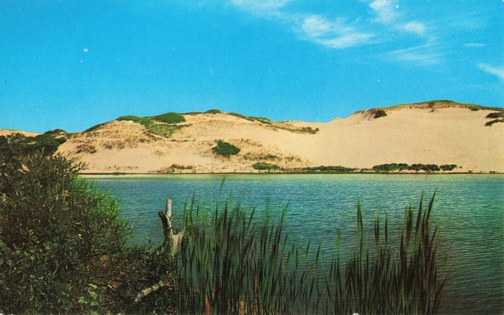 Sand Dunes - Cape Cod Massachusetts MA - Postcard