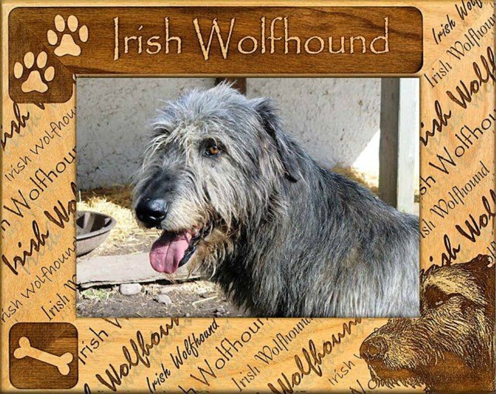 Irish Wolfhound Laser Engraved Wood Picture Frame Landscape (4 x 6)