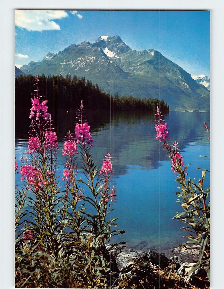 Postcard Silsersee Piz La Margna Oberengadin Celerina Switzerland
