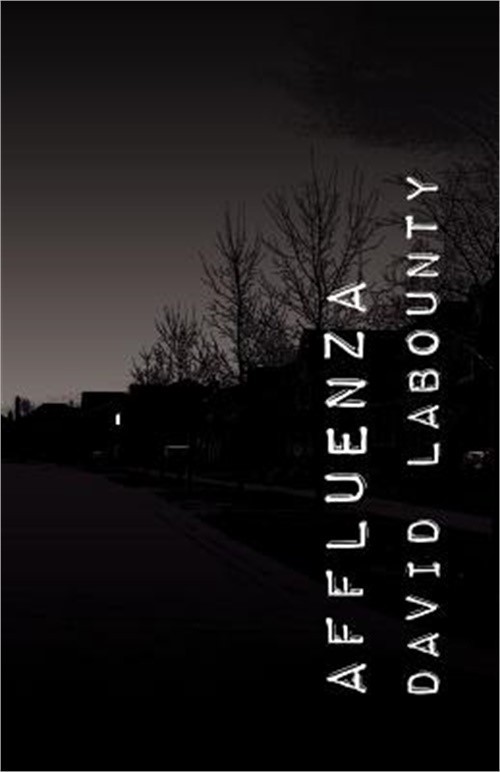 Affluenza (Paperback or Softback)