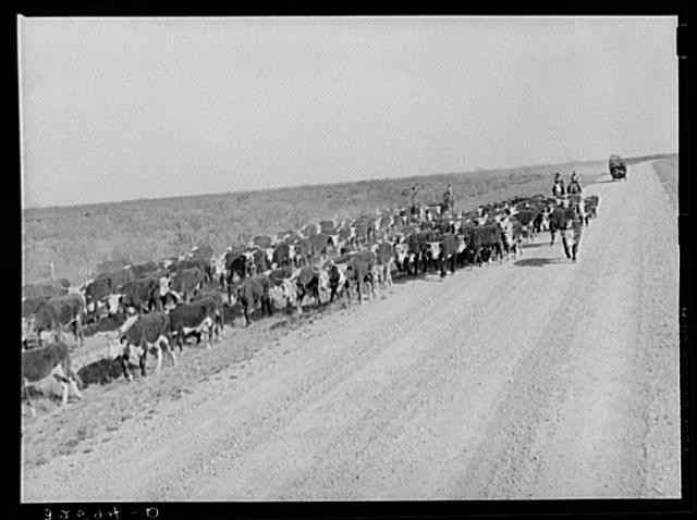 Eagle Pass,Texas,TX,Maverick County,Farm Security Administration,1939,FSA,2