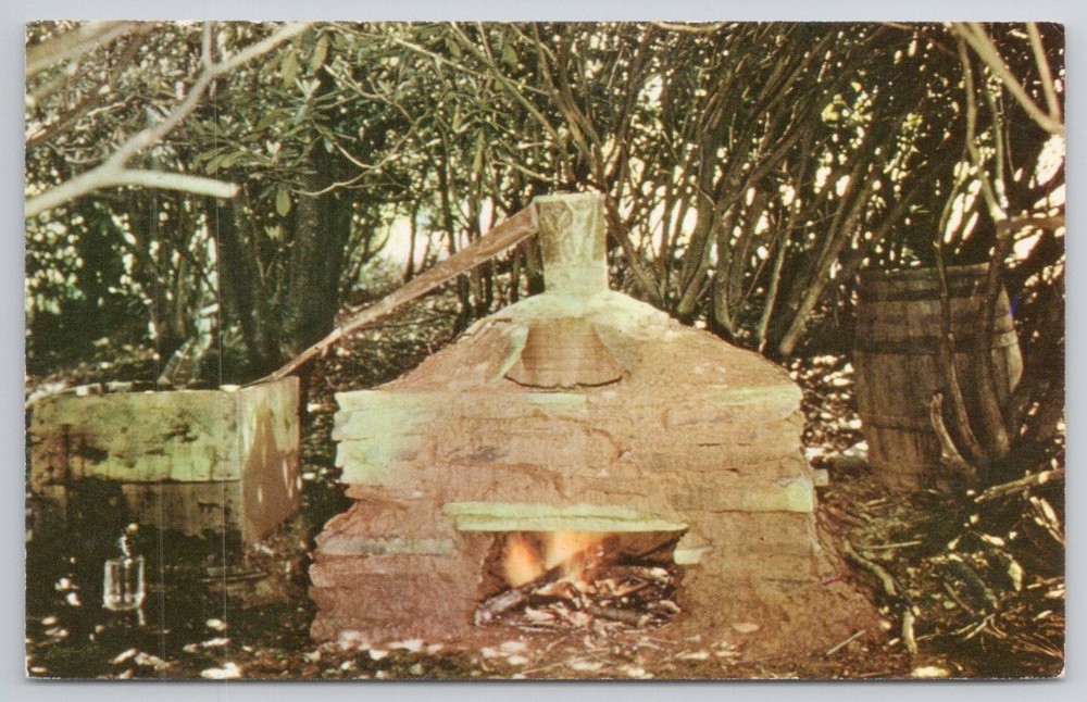 Moonshine Still in Kentucky Vintage Chrome Postcard Mountain Dew Mountaineers