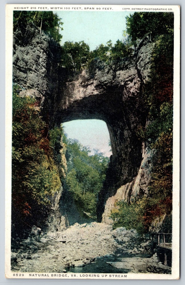 Detroit Pub~Natural Bridge Virginia~Scenic View Looking Upstream~Vtg Postcard