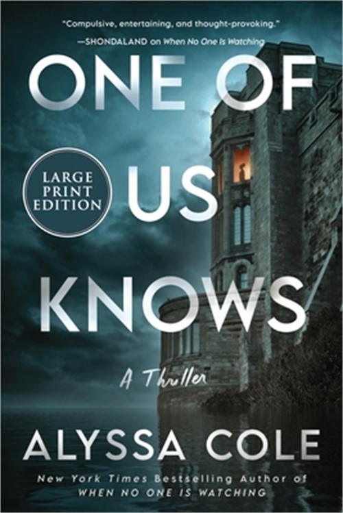 One of Us Knows: A Thriller (Paperback or Softback)