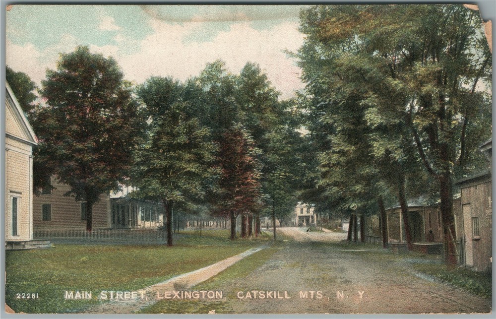 Lexington Catskill Mts Ny Main Street Antique Postcard