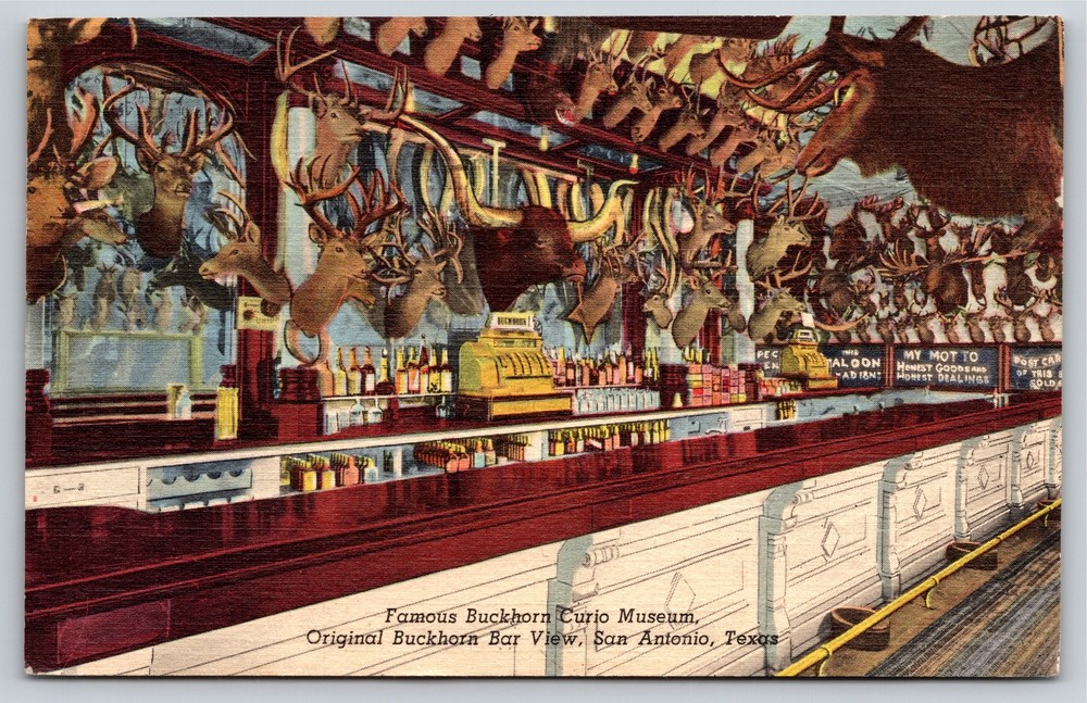 San Antonio Texas~Buckhorn Curio Museum Bar Scene~PM 1951~Vintage Linen Postcard
