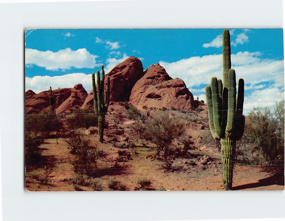 Postcard Desert Beauty in Arizona USA