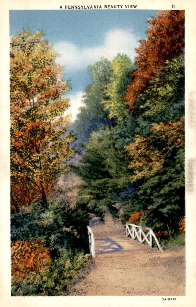 Rustic Bridge on Longfellow Trail, Cook State Forest Park, Pennsylvania Postcard