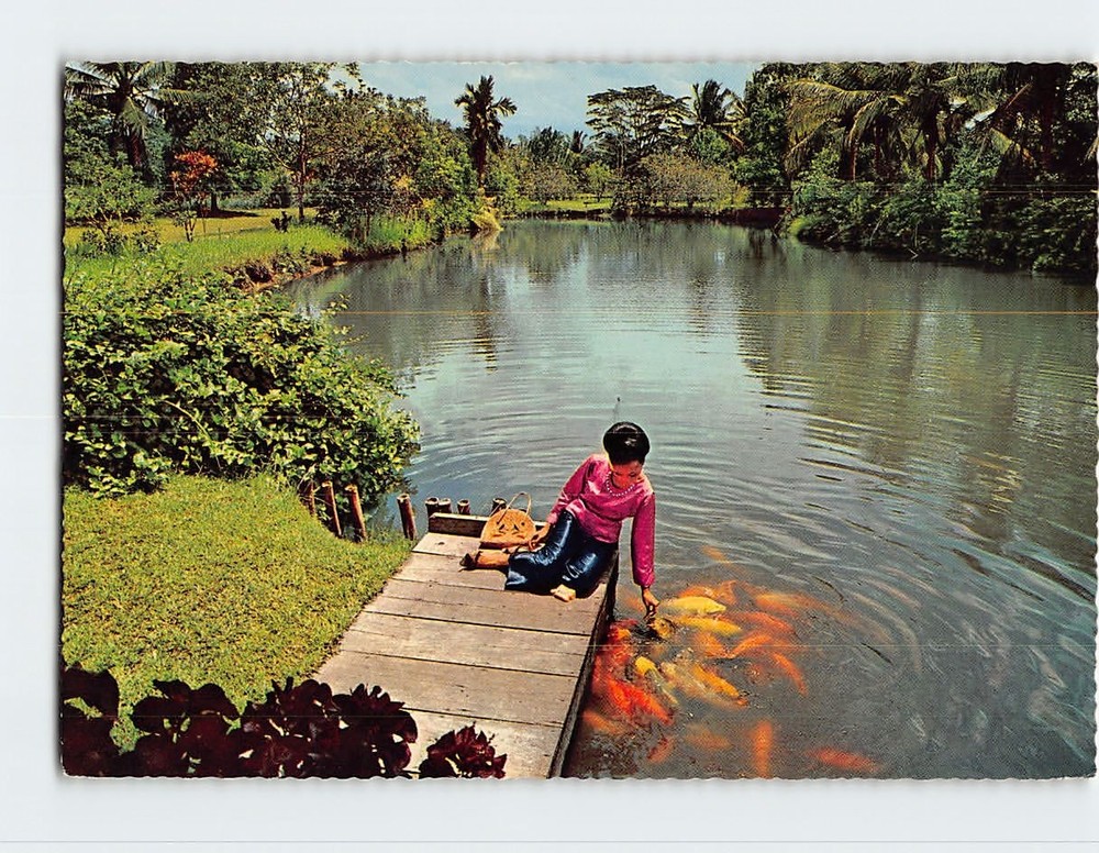 Postcard Fish Pond Inigo Farm Davao City Philippines