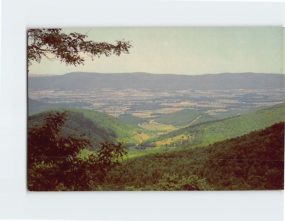 Postcard View of Shenandoah Valley and Massanutten Mountain Virginia USA
