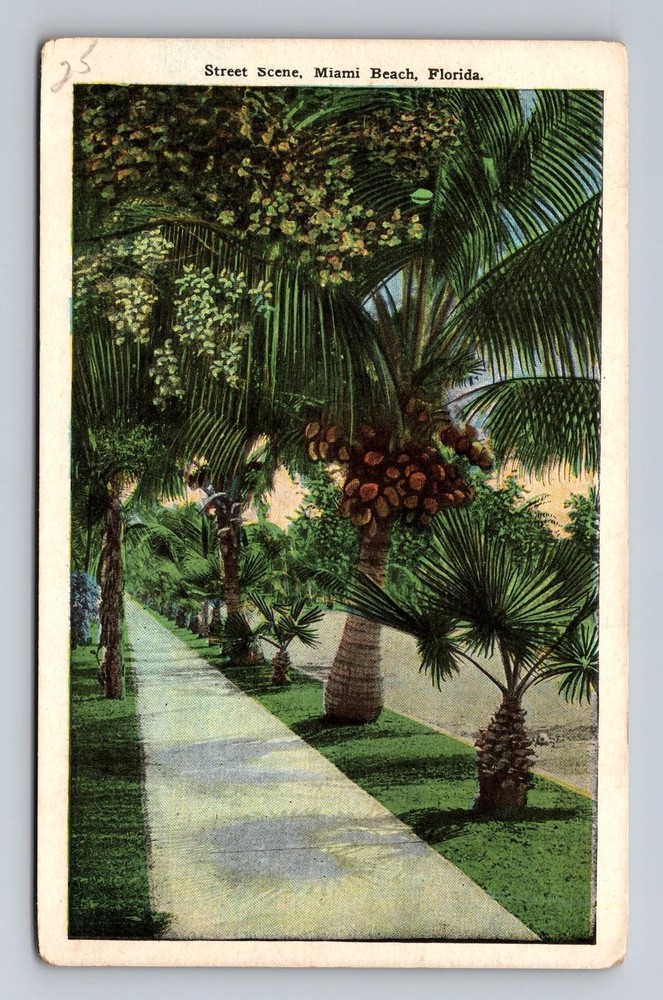 Florida FL Miami Beach Street Scene Vintage Postcard