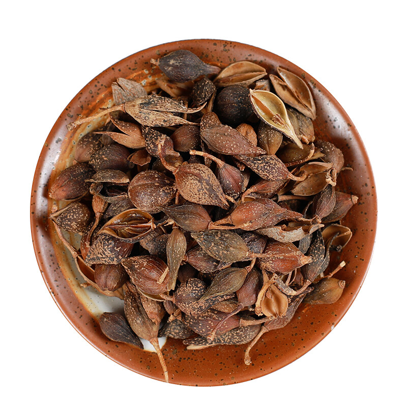 250g /500g High Quality Featured Forsythia Lianqiao Health Top Tea 连翘