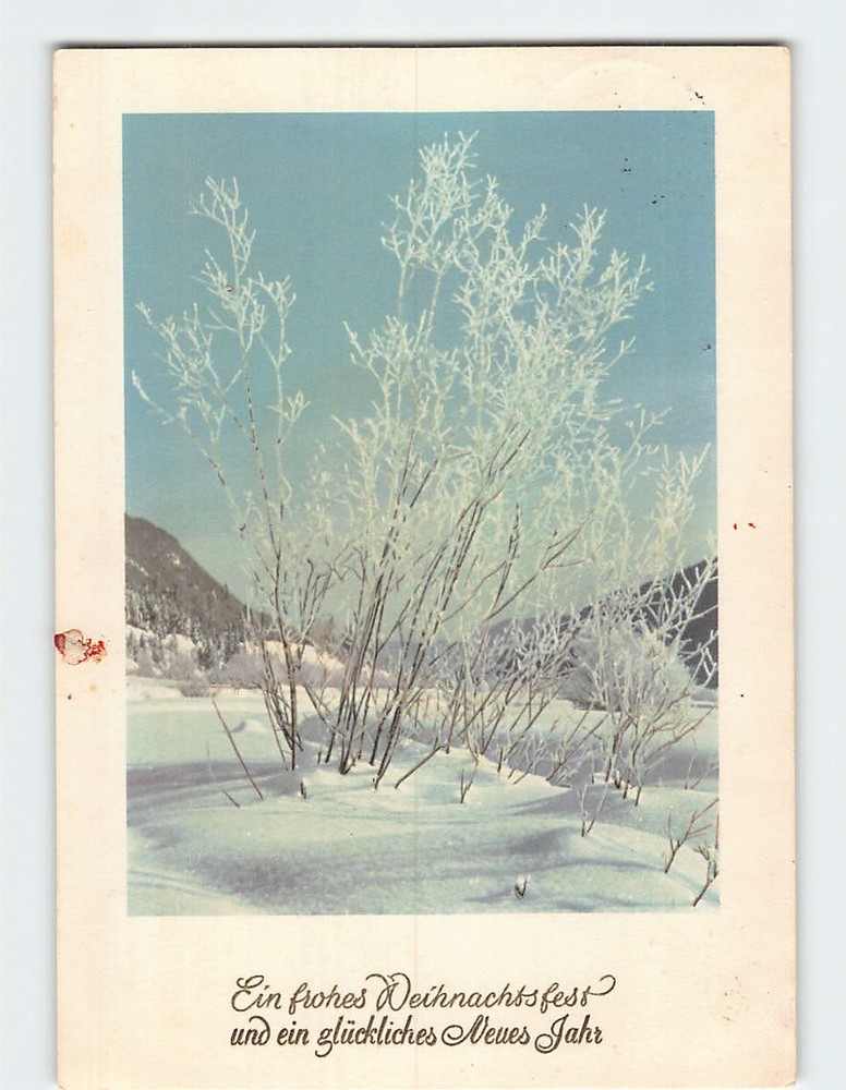 Postcard Winter Scene Christmas and New Year Holiday Greeting Card