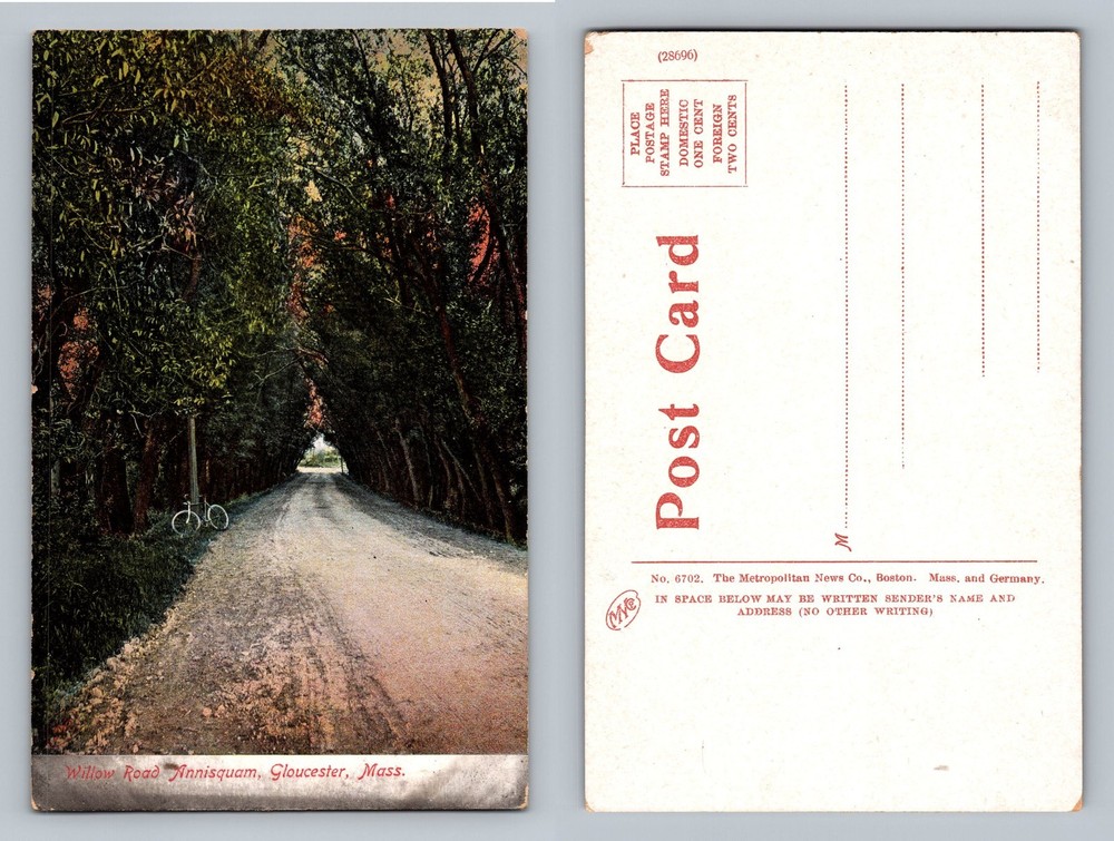 Gloucester, MA-Massachusetts, Willow Road Annisquam Lined Lane Vintage Postcard
