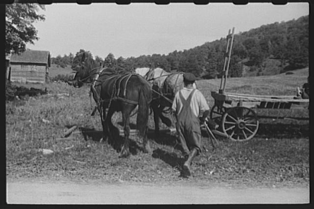 Photo:Fairfield Vermont 1930s Farm Horse Team Plow Farmer FSA