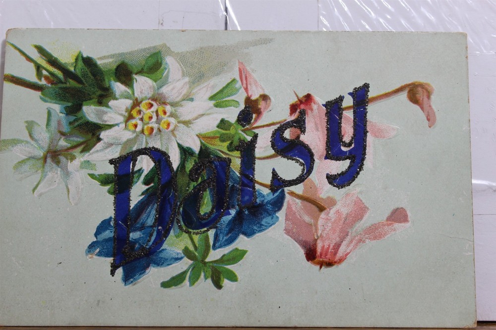 Greetings Daisy Postcard Old Vintage Card View Standard Souvenir Postal Post PC