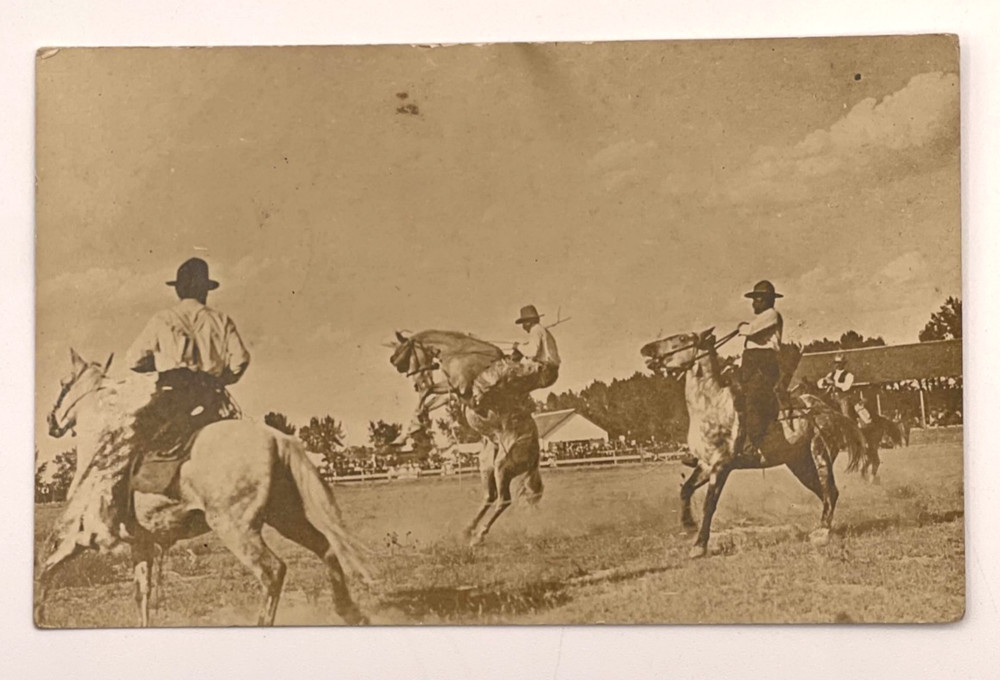 Antique Real Photo Postcard Bronco Busting Rodeo New Mexico RPPC
