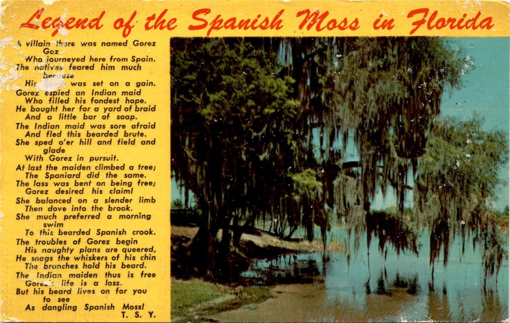 Florida, Spain, Indian maid, Gorez, Serause, brook, tree, villain Postcard
