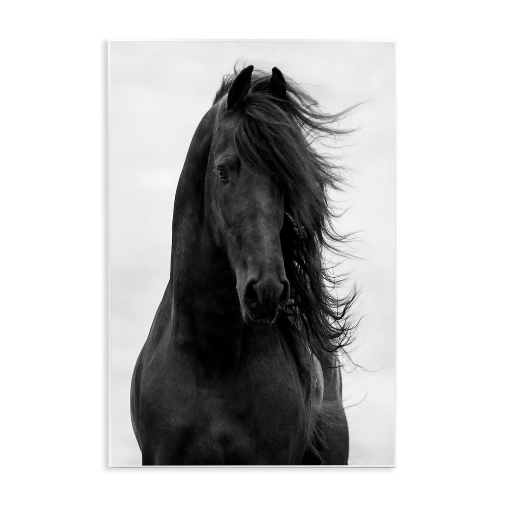 Stupell Black Stallion Horse Portrait Soft Grey Sky