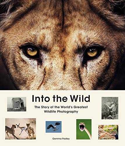 Into the Wild: The Story of the - Hardcover, by Padley Gemma - Very Good x